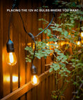 Warm White 50ft Low Voltage String Lights With 10 2W Bulbs, 135 Lumens Each, 2800K, Weatherproof on wooden fence near foliage
