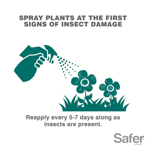 Illustration showing spray bottle targeting plants with insects, highlighting use of Insect Killing Soap Concentrate For Plants.