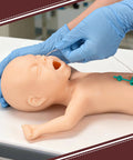 Hands-on training with Premature Infant Simulator And NG Tube Insertion Trainer for neonatal care procedures.