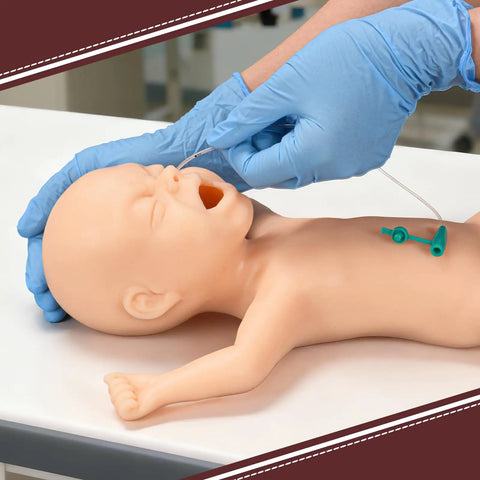Hands-on training with Premature Infant Simulator And NG Tube Insertion Trainer for neonatal care procedures.