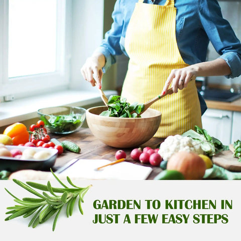 Person preparing salad in kitchen with various vegetables using 10 Herb Garden Kit Non GMO Heirloom Seeds For Indoor And Outdoor Windowsill Grow Kit With Thyme Lavender Chamomile Dill Chives Cilantro Rosemary Basil Parsley Sage Gift Idea displayed.