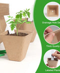 Square Peat Seed Starter Pots, 150 Pack, 3 Inch Biodegradable With Labels, Eco Friendly Nursery Pots with plant seedling