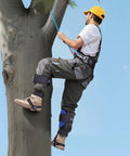 Person using Height Adjustable Tree Climbing Spikes Set With Straps And Waist Harness Heavy Duty Steel Climb Spurs For Arborist Work