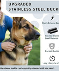 Stainless Steel Quick Release Dog Collar Buckle 2.25 Inch Wide Built Tough, Heavy Duty Rust Resistant Fastener, Easy Lock Design For Small Medium And Large Dogs, Durable Secure Fit Hardware on a German Shepherd
