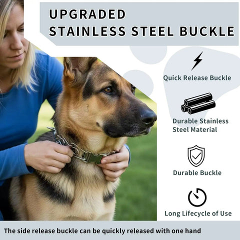Stainless Steel Quick Release Dog Collar Buckle 2.25 Inch Wide Built Tough, Heavy Duty Rust Resistant Fastener, Easy Lock Design For Small Medium And Large Dogs, Durable Secure Fit Hardware on a German Shepherd