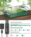80 Cell Seedling Starter Tray With Grow Light And Humidity Dome Reusable Indoor Seed Germination Kit Two Pack Green Base