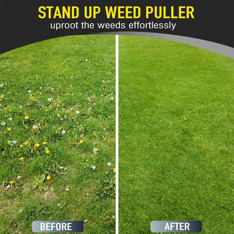 Before and after using Stand Up Weeder And Weed Puller Set 40 Inch With Foot Pedal Hand Weeder And Garden Gloves for lawn care.