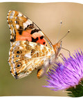 Cup Of Caterpillars Refill Kit With Five Live Painted Lady Caterpillars And Food Included, butterfly on flower