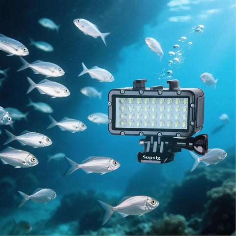 Ultra Bright Waterproof Dimmable Underwater LED Light for GoPro Hero and DJI Osmo Action illuminating fish at 147ft depth.