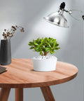 Heavy Duty Clamp Lamp Light With Detachable 8.5 Inch Aluminum Reflector, 150W E26 Socket, No Bulb Included, 6 Foot Cord