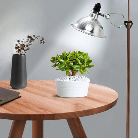 Heavy Duty Clamp Lamp Light With Detachable 8.5 Inch Aluminum Reflector, 150W E26 Socket, No Bulb Included, 6 Foot Cord