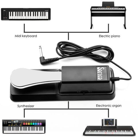 Universal Sustain Pedal For Keyboards And Digital Pianos With Polarity Switch And One Quarter Inch Jack Stainless Steel Pedal setup