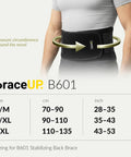 Back Support Belt For Men And Women Breathable Lumbar Brace for Sciatica and Herniated Discs Scoliosis Relief illustration
