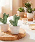 Ceramic Toilet Bolt Covers Decorative Bathroom Hardware Hand Painted Cactus Caps vibrant green cactus decor in white pots.