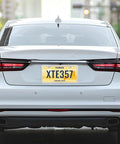 Slick Stainless Steel License Plate Frame Slim Style Two Hole Mount Polished Finish Flat Plate Holder on car rear