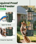 Backyard Ready Squirrel Proof Bird Feeder With 3 Port Design Gravity Spring And Metal Build in a garden setting