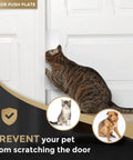 Tough As Nails Door Push Plate With Kickproof Reinforcement And Tight Security Guard For Main Entrance Protection Clean White Finish mounted on door with a cat.