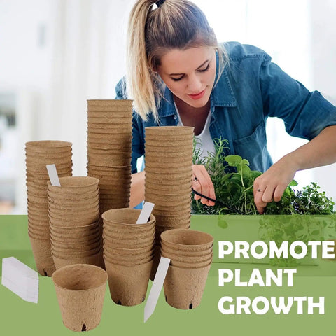 Woman with Seedling Pots 45 Pack with Labels for Easy Germination and Root Care, arranging herbs on table.