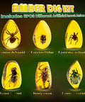 Amber Dig Kit With Real Insects Encased In Resin Excavate Six Fossil Insects For STEM Geology And Biology Fun Educational Toy For Kids Ages 6 8 12 Perfect Party Favors And Science Kit Gift showing 6 different insect resins