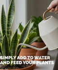 Fuel Your Houseplants With This Complete Liquid Plant Food Promotes Lush Growth Dense Roots And Bright Foliage Super Simple Eight Ounce Mix watering snake plant in a pot