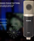 Condenser XLR Microphone With Large Diaphragm Cardioid Studio Mic Kit Including Shock Mount For Studio Recording Live Streaming Podcasting Voiceover And YouTube Black, showcasing cardioid pickup pattern and sound features.