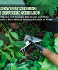 60 Inch Triangle Garden Hoe With Long Handle For No Bend Weeding Push Pull Motion That Zaps Weeds Fast Around Seedlings