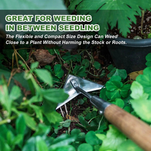 60 Inch Triangle Garden Hoe With Long Handle For No Bend Weeding Push Pull Motion That Zaps Weeds Fast Around Seedlings