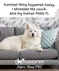 White dog on gray couch with text about fabric mend, showcasing Fabric And Carpet Repair Kit For Tears, Holes, And Burns Easy DIY Patch.