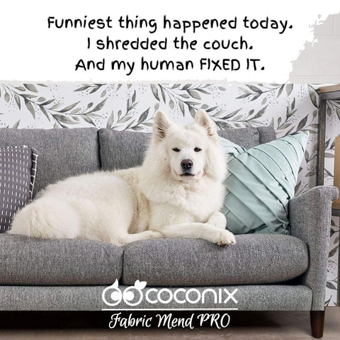 White dog on gray couch with text about fabric mend, showcasing Fabric And Carpet Repair Kit For Tears, Holes, And Burns Easy DIY Patch.