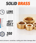 Front view of Ailbiuko 35-Piece brass pipe plug set with NPT hex sockets, sizes 1/8 to 3/4 inch