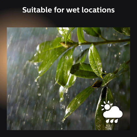 Rain on green leaves symbolizing weatherproof design for Hue Lucca White Outdoor Wall Light With Dusk To Dawn Sensor.