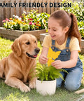 Child using Zero Sweat 58 Pack Yellow Sticky Gnat Traps For Indoor Plants on a potted fern with a dog nearby.