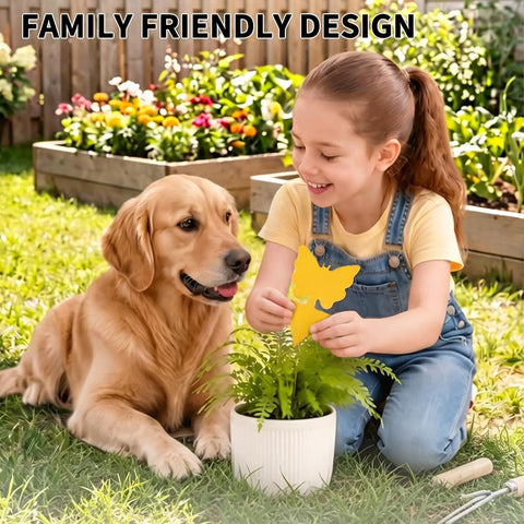 Child using Zero Sweat 58 Pack Yellow Sticky Gnat Traps For Indoor Plants on a potted fern with a dog nearby.