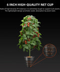 Deep Water Culture DWC Hydroponics Grow System With 7-Gallon Capacity, plant in 6-inch net cup, triangular cover, and recirculating drip garden kit