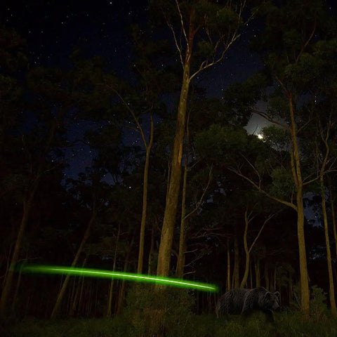 Auto On Lighted Arrow Nocks For Arrows With.244 Inside Diameter 6 Pack Bright LED Nocks Turn On When Shot gliding in forest