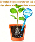 12 Pack Large Plant Watering Globes Self Watering Bulbs For Indoor And Outdoor Pots in use with a potted plant