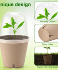 50 Pack Peat Pots Seed Starter Kit With Humidity Domes, plant labels, and transplant tools for easy germination in biodegradable pots.