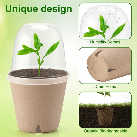 pulp pots for plants Ultimate Seed Starter Kit | 36 Pots