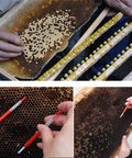 Close-up of Queen Bee Grafting Tool Kit 10 Piece Beekeeping Grafting Needle Tools in use on honeycomb frame