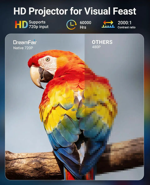 Comparison of HD projector resolution with 720p showing a colorful parrot image on a branch, highlighting visual clarity.