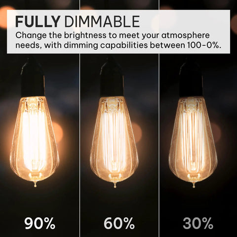 Image of Vintage Edison Light Bulbs 60W E26 E27 Base 2100K Dimmable ST58 Style warm glow squirrel filament showing dimming levels.