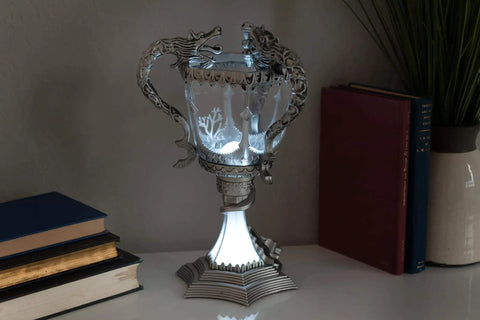 Triwizard Cup Replica Mood Light LED Lamp Battery Powered 13 Inch Tall Silver Decor For Wizarding World Fans on shelf next to books