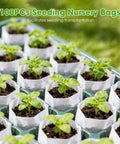 Close-up of sprouts in seed nursery bags from Seed Starter Tray With Grow Light 2 Pack 80-Cell Seedling Starter Kit.