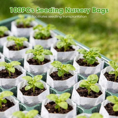 Close-up of sprouts in seed nursery bags from Seed Starter Tray With Grow Light 2 Pack 80-Cell Seedling Starter Kit.