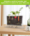 Six Seed Varieties Kid Friendly Garden Kit For Hands On STEM Learning displaying growing plants with roots and shoots