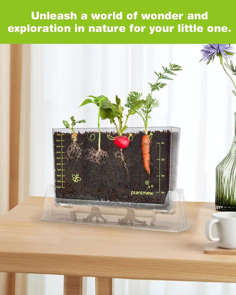 Six Seed Varieties Kid Friendly Garden Kit For Hands On STEM Learning displaying growing plants with roots and shoots