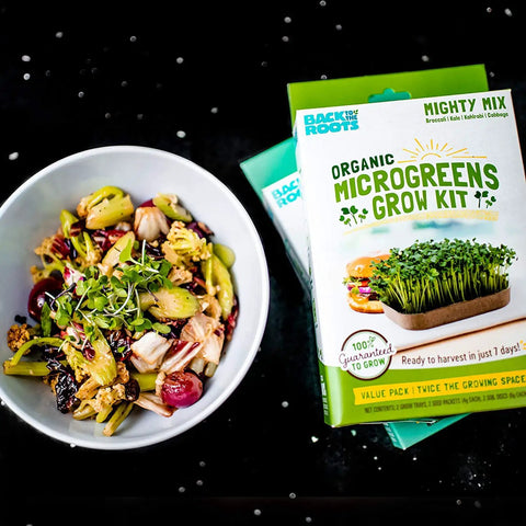 DIY Microgreen Grow Kit Six Grow Variety Pack For Organic Non GMO Pesticide Free Home Kitchen Garden Easy Setup Grow Your Own Fresh Greens Packed With Vitamins And Flavor next to a salad dish.