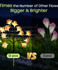 Comparison of 4 Pack Solar Flower Lights For Outdoors Waterproof Garden Decor That Look Real By Day And Glow Bright At Night Easy Pathway Yard Lighting Patio Fence Accent For That Lit Curb Appeal with another model of fewer lights at night.