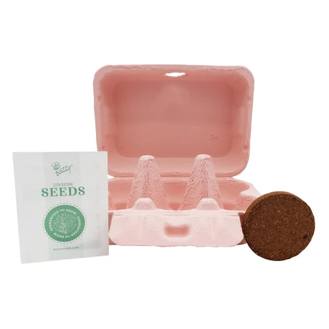 Two Pack Indoor Flower Grow Kit With Colorful Egg Cartons, Sunflower And Daisy Seeds, Eco Friendly Growing Medium, open pink egg carton with seeds