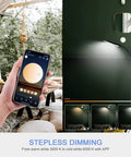 Smart LED Floor Lamp With Alexa Google Home App Remote Control 10 to 100 Percent Dimming Stepless 2700K 6500K
